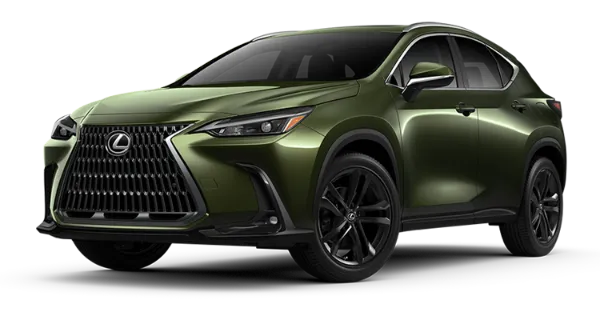 NX